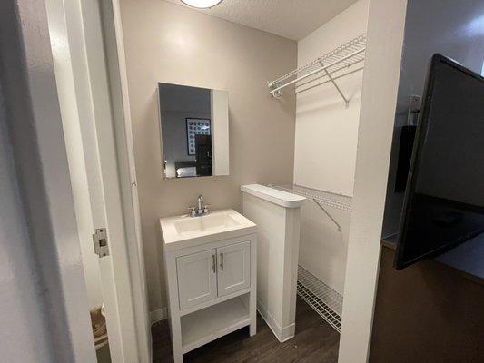 Sink with medicine cabinet, closet area