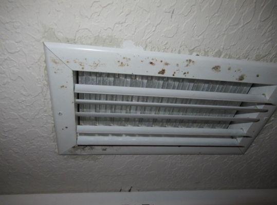 It is common to see mold on vents