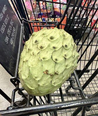 Cherimoya!