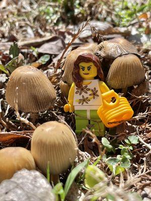 Minifig foraging