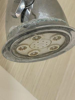 Disgusting shower head.