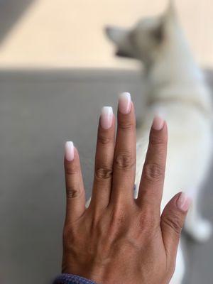 Dip with tips - ombré pink and white