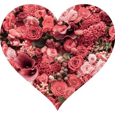 Shop local flowers for Valentine's Day from a trusted Rio Rancho Florist.