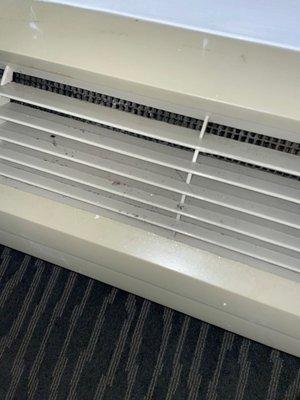 Mold in the air conditioner