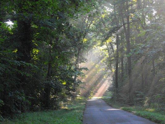 Meeman-Shelby Forest State Park