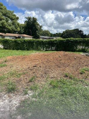 This is the pile of mulch that is still in my yard that we paid to have removed.