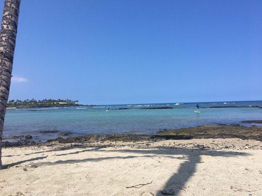 Me chilling at the beach while Blackbird is taking care of my place.