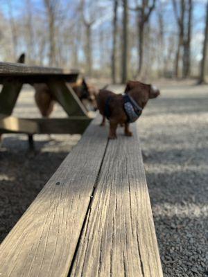 Park bench