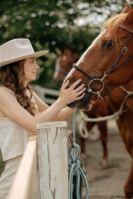 Friendly horses