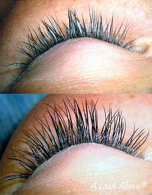 actual before and after photos at A Lash Above