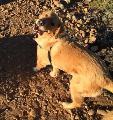 Alika having fun at the park with PETSBYMJ