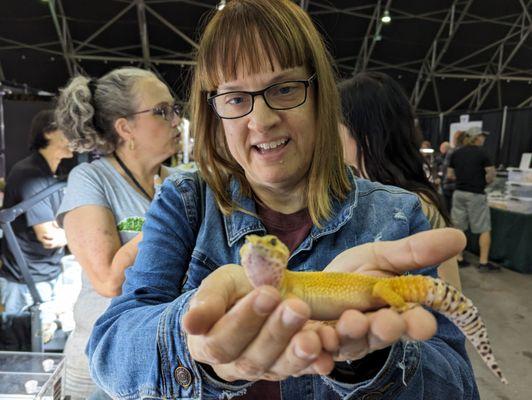 Designer Leopard Gecko