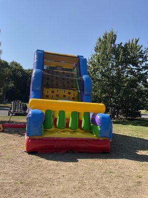 40' Retro Rock Climb Slide