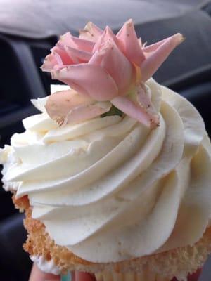 Chiffon cupcake with apricot filling and whipped cream on top