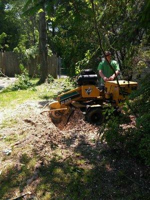 Stump grinding services available