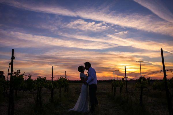 Beautiful sunset in the vineyard.