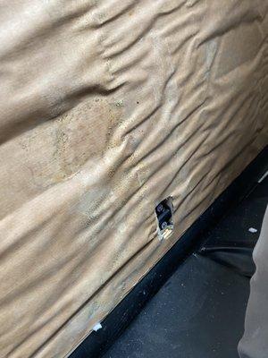 Mold on the hot tub insulation immediately discovered by technician revealing, it was not kids splashing water out.