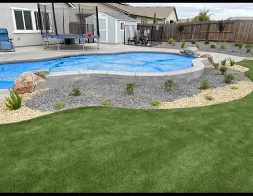 Turf behind the pool with the rocks and plants.