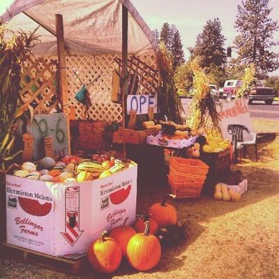 We carry a wide variety of pumpkins, winter squash, gourds and more during October!