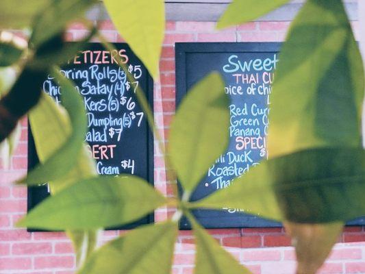 A view of the colorful menu boards through some foliage in the restaurant.