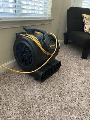 Carpet blower