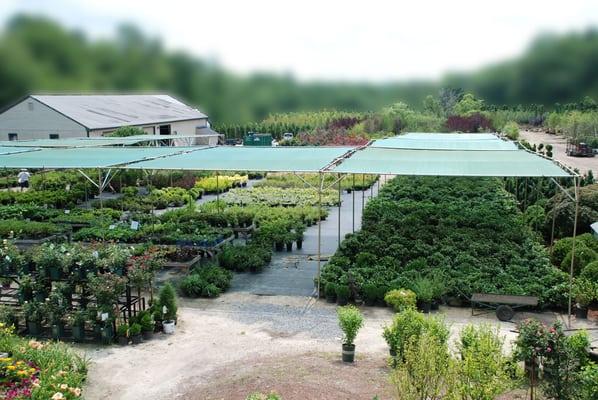 A view of our Nursery located in Windham NH