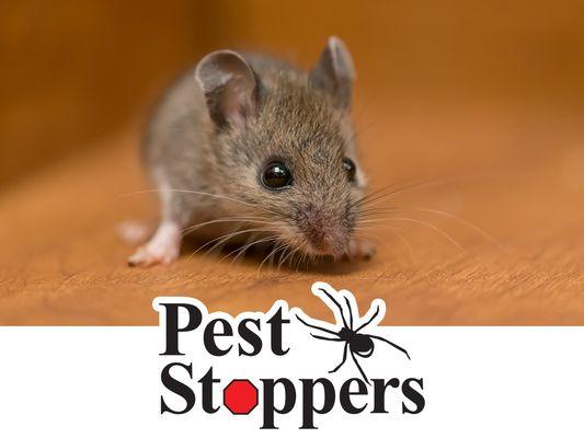 Pest Stoppers