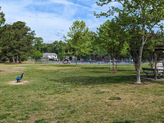 This is a view of the Pickleball courts.  Photo taken April 22, 2023.