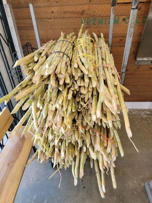 sugarcane from the owners farm in Mexico