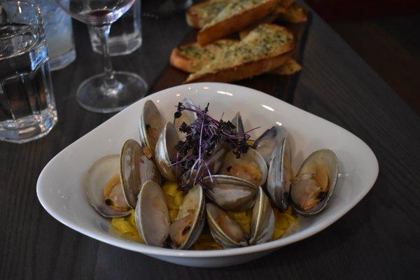 Tagliatelle allo Zafferano (saffron tagliatelle) with count neck clams