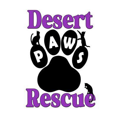 Desert Paws Rescue, Cats 2024