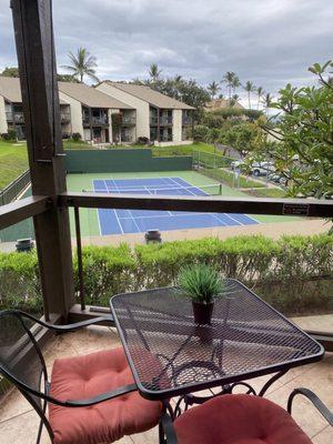 Tennis and pickleball courts viewed from our rental