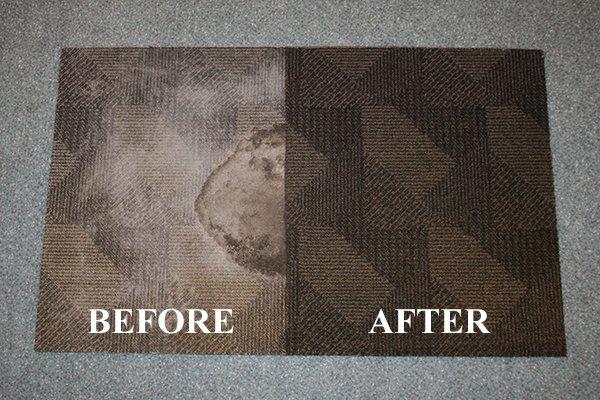 Chem-Dry's Hot Carbonated Extraction will help make even the most disgusting carpets looks like new again!