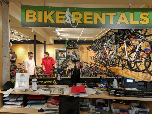 Bike rental area on lower level