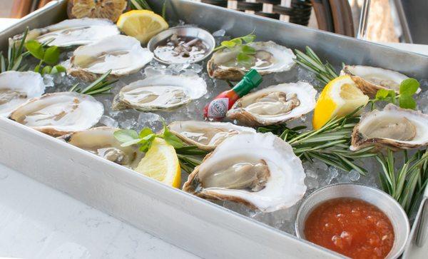 Daily Oyster Selection