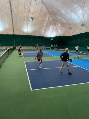 6 Dedicated Pickleball Courts - Year Round!