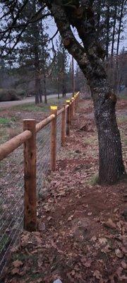 single rail pasture fencing with added post lights