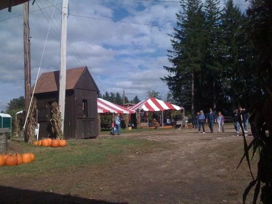 Band playing under the tents.