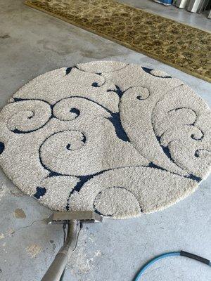 On site area rug cleaning in Palm Beach