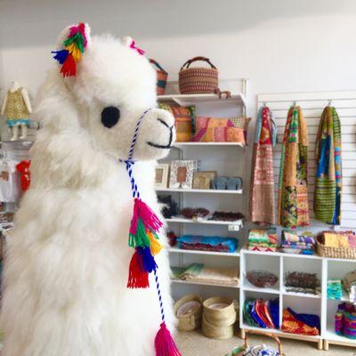 Say hello to Chewpaca, our Maplewood store mascot