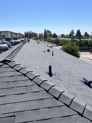 Shingle Re-Roof