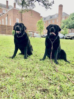 Dr Hepner takes the BEST care of my Boy on the Right.  The Girl on his right is his BFF