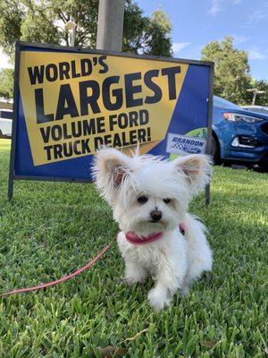 World's largest volume Ford Truck dealer!