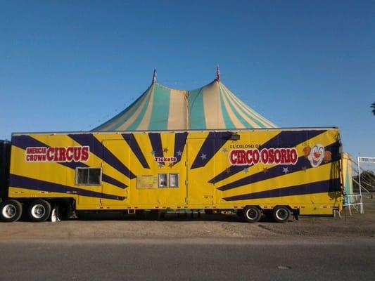 The circus is in town