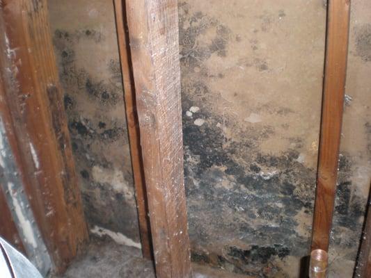 Wall Cavity Mold. This is hidden inside the wall. Having a air sample taken before opening the wall will avoid surprises.