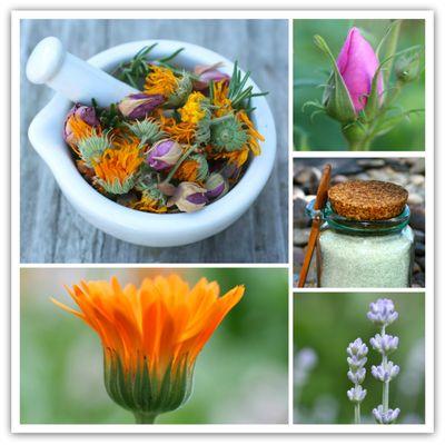 Calendula, rose and lavender are wonderful medicinal plants that can be used in many ways