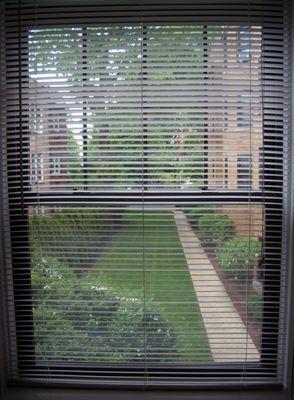 Window Courtyard View