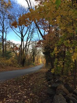 NJ bike tours typical road