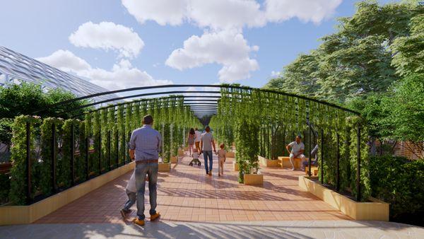 Rendering of the Grape Walk Feature of this Campus Design. Visualized with people, seating and landscape.