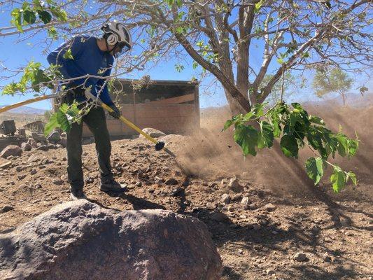 AirSpade root management